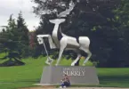 University of Surrey Postgraduate