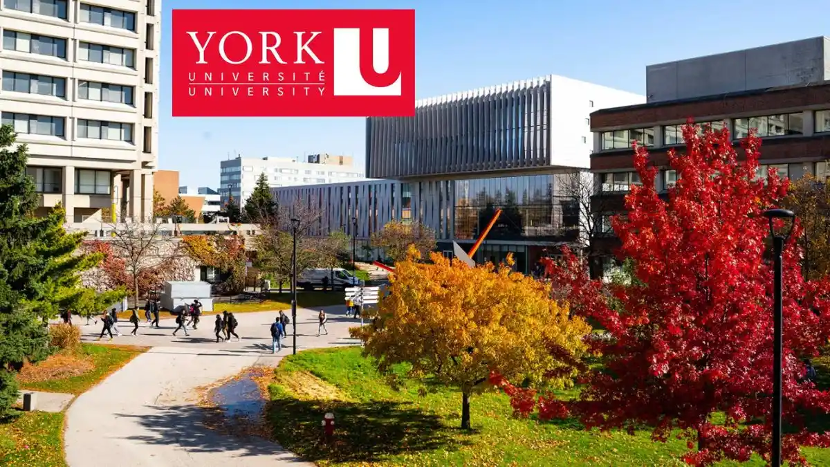 York University Scholarships Fully Funded | How to Apply