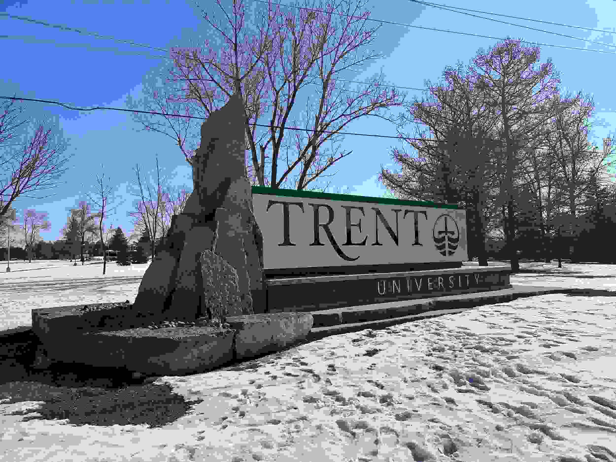 Trent University Scholarships for International Students