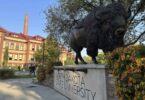 North Dakota State University Scholarships for International Students